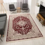 Gilam Yuvish Premium Tarif